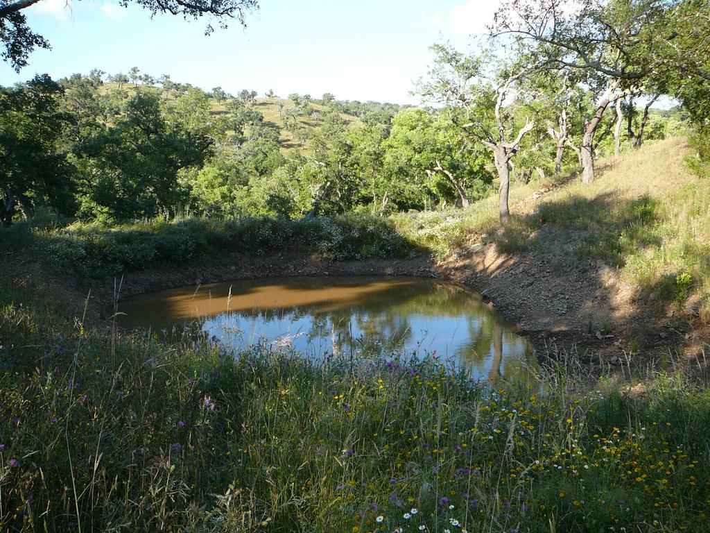 Monte Da Ameira Roncao Exterior photo